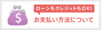 ローンもクレジットもOK！お支払い方法について